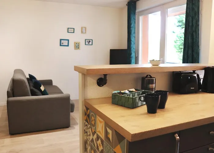 Le Chapitre Spacieux - Parking En Résidence Fermée Apartamento Toulouse